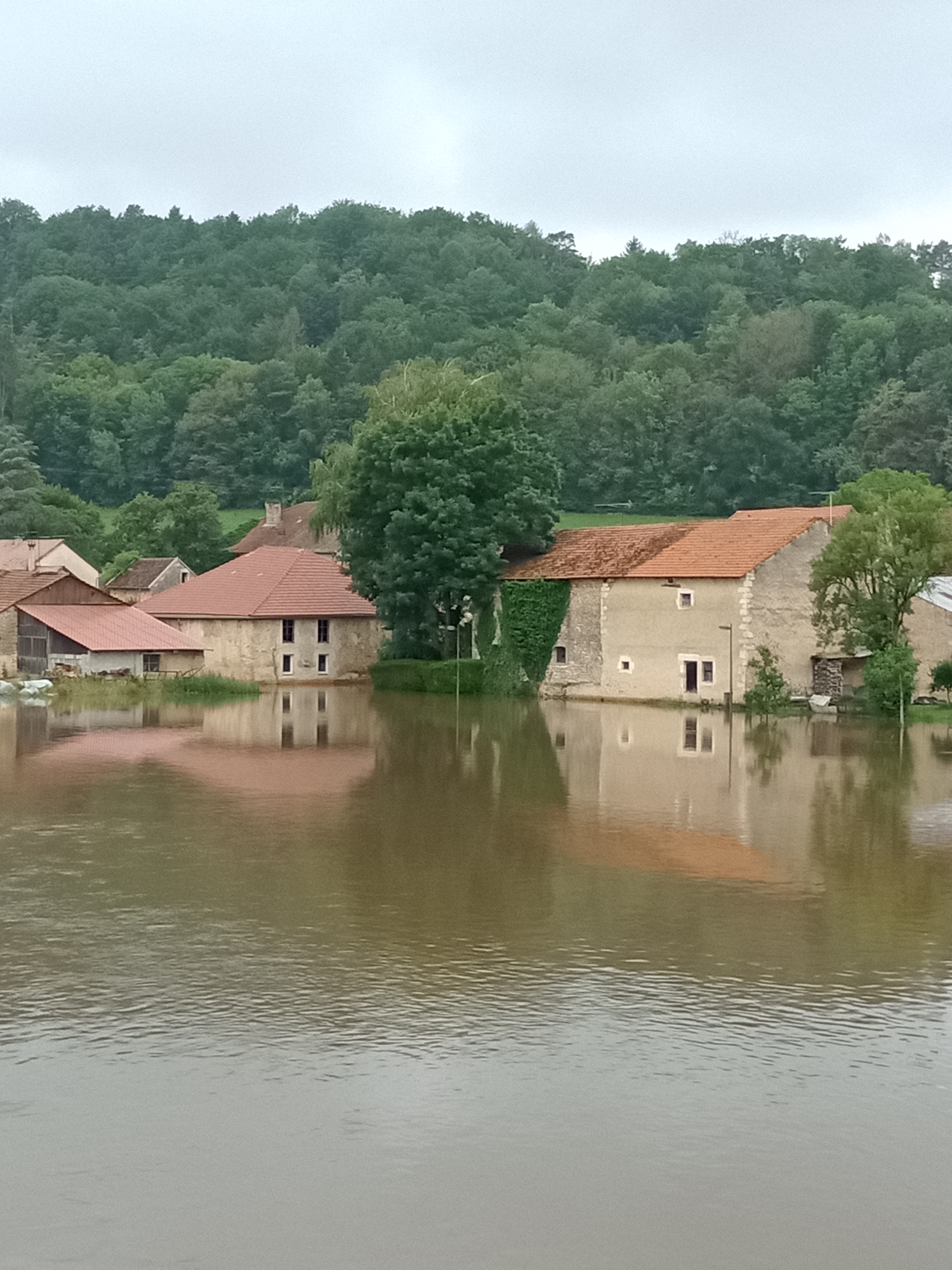 Photo n° 9 de l'avis de Thierry. fait le 17/07/2021 à 13:25