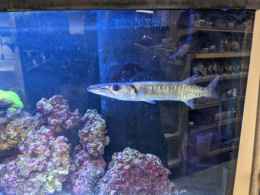 Pet Supply Store «Coastline Pet Supply», reviews and photos, 3530 Northgate Dr, Myrtle Beach, SC 29588, USA