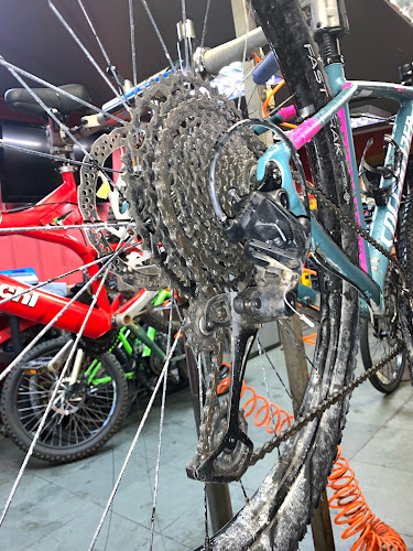 Opiniones de BIKESERVICE PATAGONIA en Punta Arenas - Tienda de bicicletas
