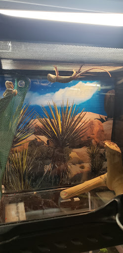 Pet Supply Store «Pet Station Jackson», reviews and photos, 1617 E Michigan Ave, Jackson, MI 49202, USA