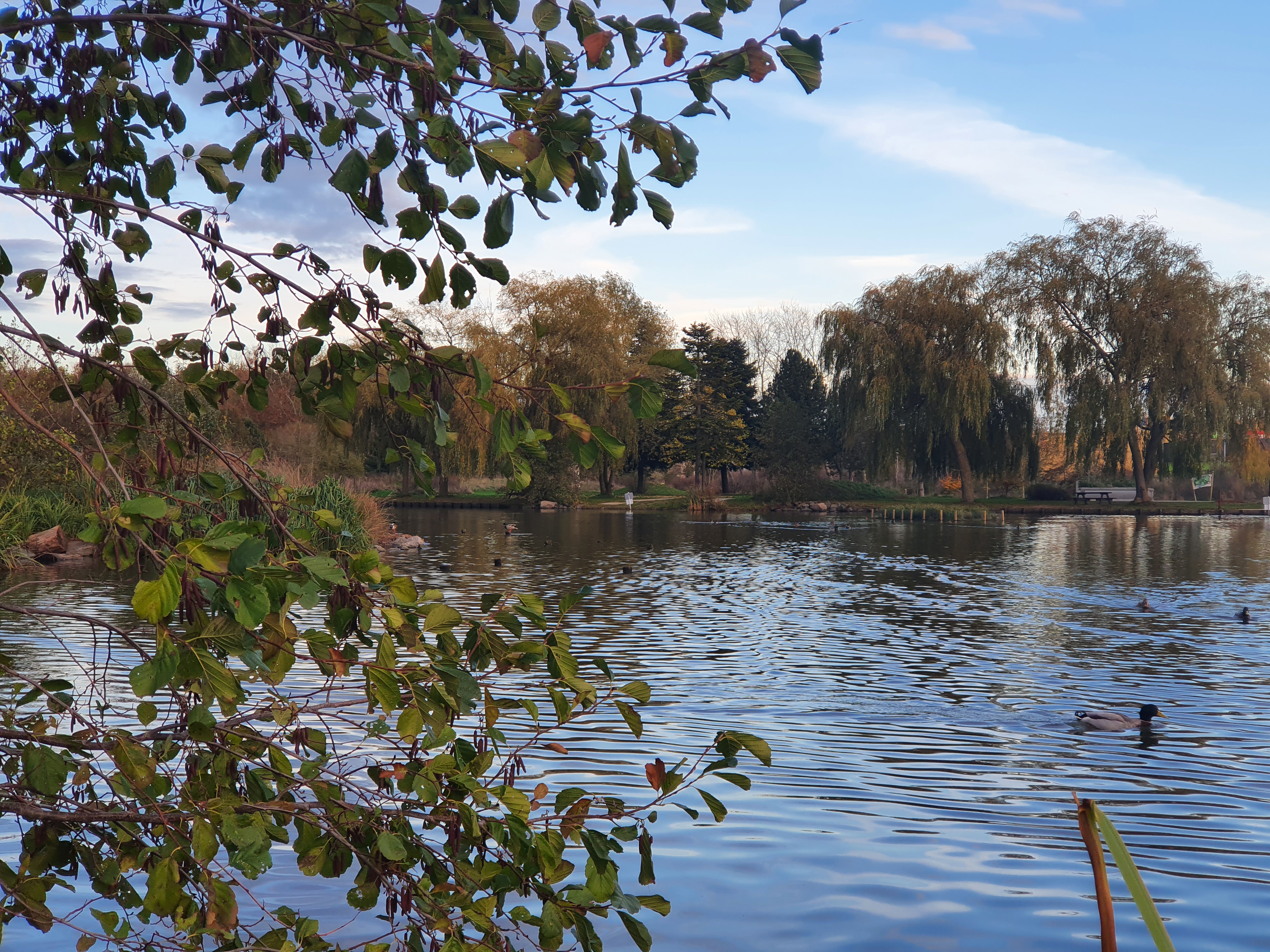 Photo n° 3 de l'avis de Flavie.o fait le 10/11/2020 à 06:58