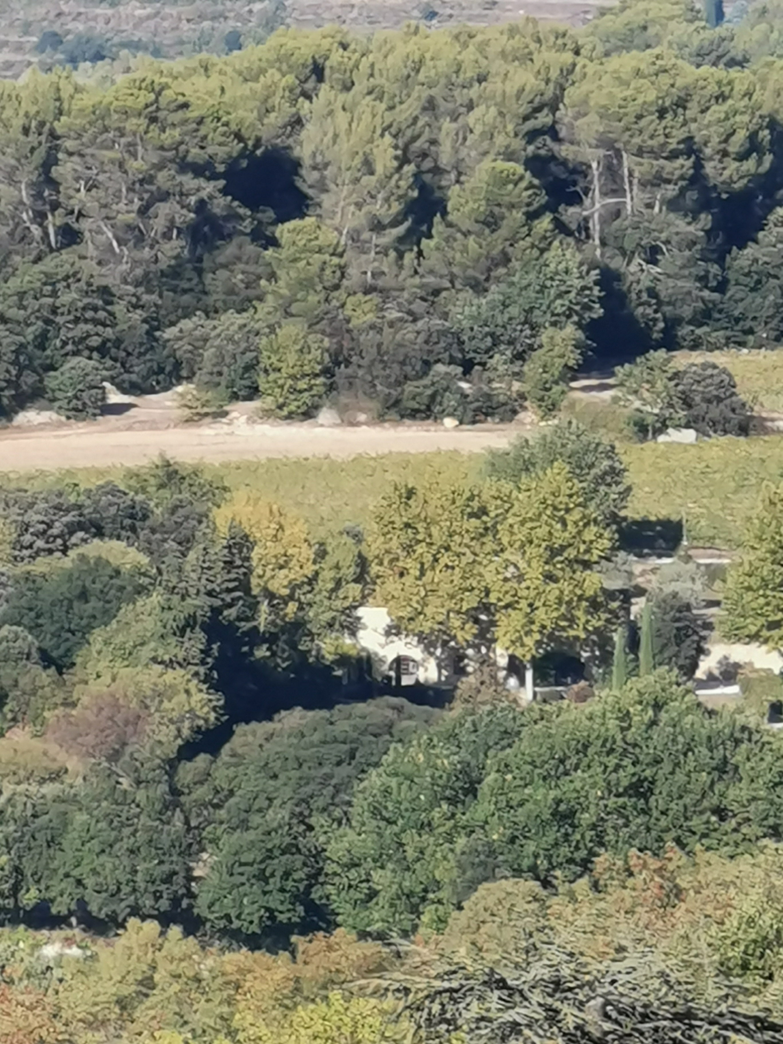 Photo n° 3 de l'avis de Ármin.� fait le 10/10/2022 à 17:40