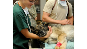 Clínica Veterinaria Las Cabras