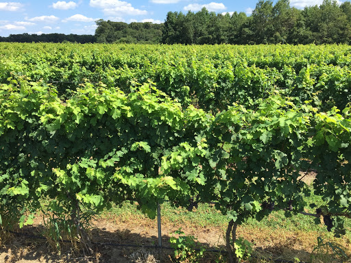 Winery «Monroeville Vineyard & Winery», reviews and photos, 314 Richwood Rd, Monroeville, NJ 08343, USA