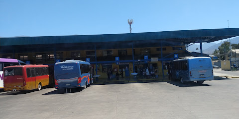 Terminal de Buses La Ligua