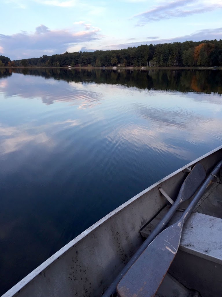 Selfcare Massage & Wellness, LLC You owe yourself the care that you