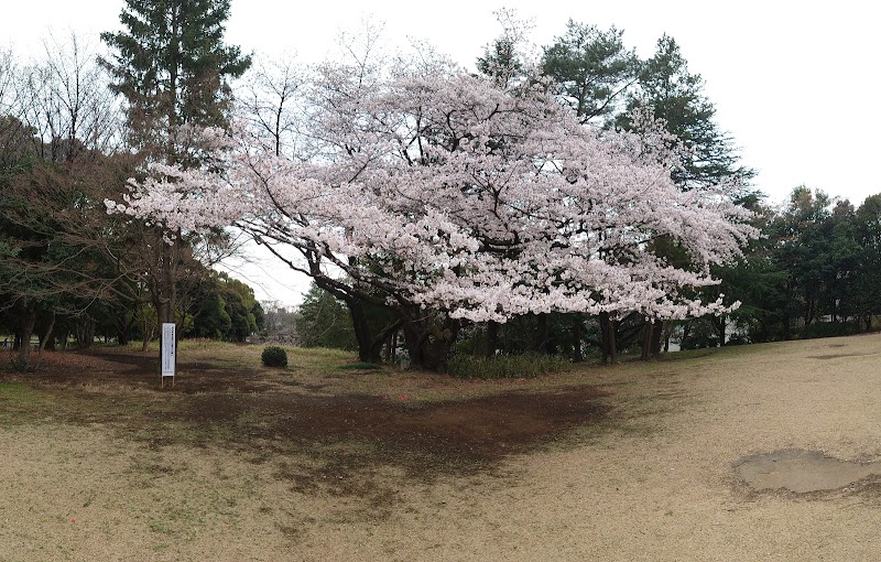 所沢航空記念公園・野外ステージ