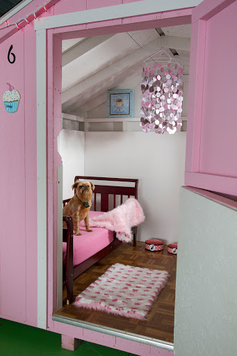 Pet Groomer «Delaware Pet Stuff», reviews and photos, 435 Dunlap St, Delaware, OH 43015, USA