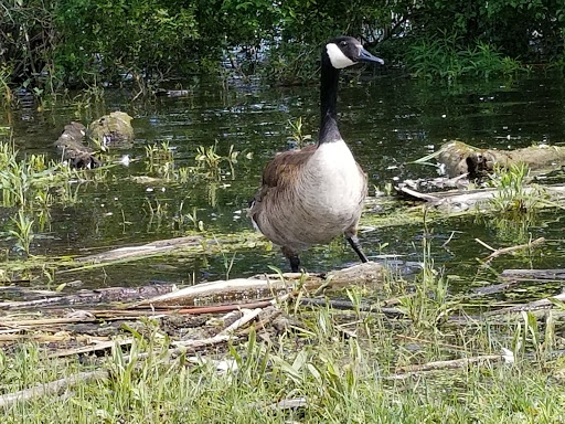 Canoe & Kayak Store «BayCreek Paddling Center, Inc.», reviews and photos, 1099 Empire Blvd, Rochester, NY 14609, USA