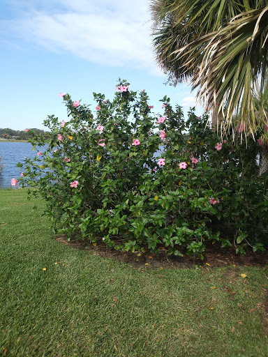 Non-Profit Organization «Art & History Museums - Maitland», reviews and photos, 231 W Packwood Ave, Maitland, FL 32751, USA