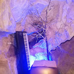 Photo n°1 de l'avis de Mara.u fait le 24/02/2023 à 12:06 sur le  Trattoria Flora à Merano