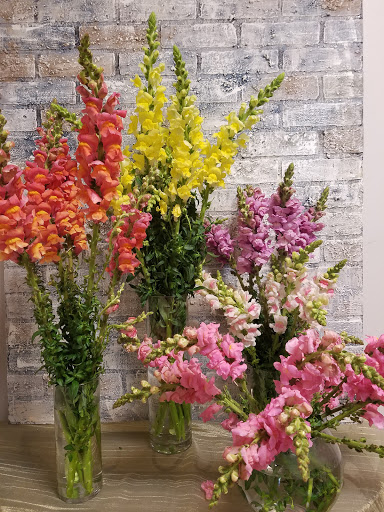 Florist «Sanford Flower Shop», reviews and photos, 209 E Commercial St, Sanford, FL 32771, USA