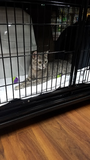 Pet Supply Store «Pet Valu», reviews and photos, 8249 Chippewa Rd, Brecksville, OH 44141, USA