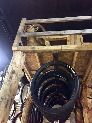 Bicycle Store «Eastern Panhandle Bicycle Company», reviews and photos, 805 E Moler Ave, Martinsburg, WV 25404, USA