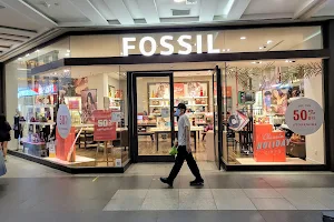 Fossil Store - JEM image