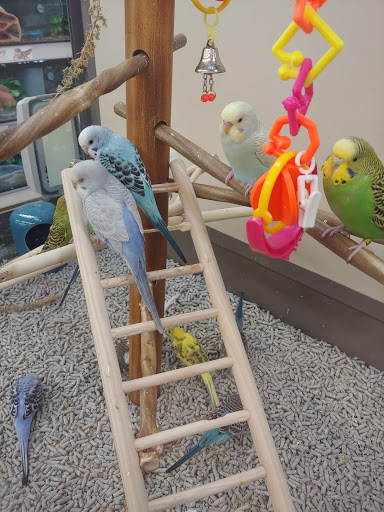 Pet Supply Store «Petco Animal Supplies», reviews and photos, 86 Storrs Rd, Mansfield Center, CT 06250, USA