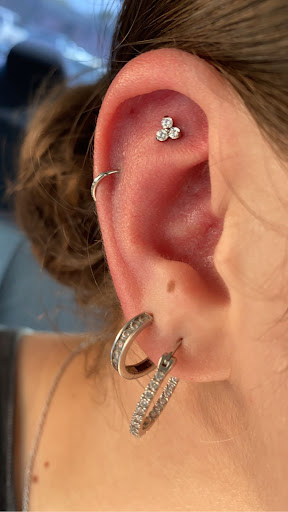 Explore animal tattoo sleeve ideas, creative tattoo ideas in Dover, available at Agap Body Piercings