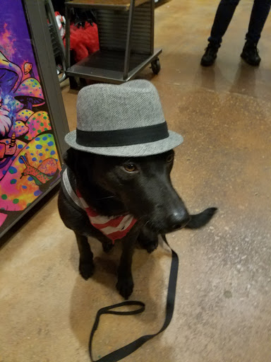 Shopping Mall «Golden Triangle Mall», reviews and photos, 2201 S Interstate 35 E, Denton, TX 76205, USA