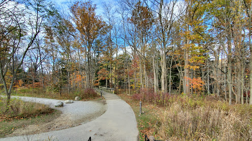 Tourist Attraction «Brandywine Gorge Trail», reviews and photos, 8176 Brandywine Rd, Sagamore Hills, OH 44067, USA
