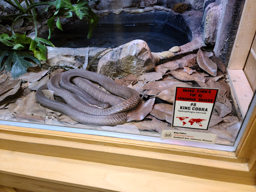 Zoo «Animal World & Snake Farm Zoo», reviews and photos, 5640 Interstate 35 Frontage Rd, New Braunfels, TX 78132, USA