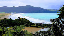 Hicks Bay'in fotoğrafı çok temiz temizlik seviyesi ile
