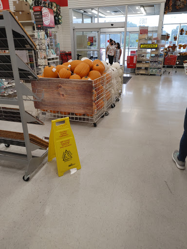 Craft Store «Michaels», reviews and photos, 1165 N Dupont Hwy Ste 2, Dover, DE 19901, USA