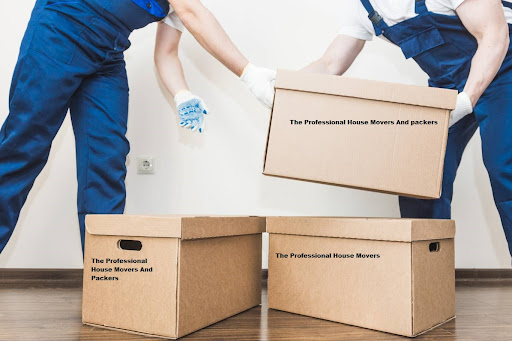 The Professional House Office Movers And Packers Dubai & Storage