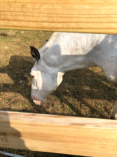 Winery «Blackhawk Winery», reviews and photos, 28153 W Ditch Rd, Sheridan, IN 46069, USA