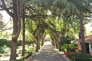 Oeiras Municipal Garden image