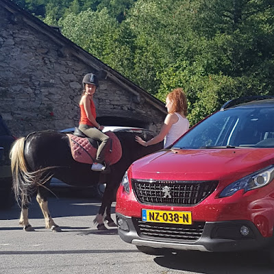 Les Poneys de Julie à Cambounès
