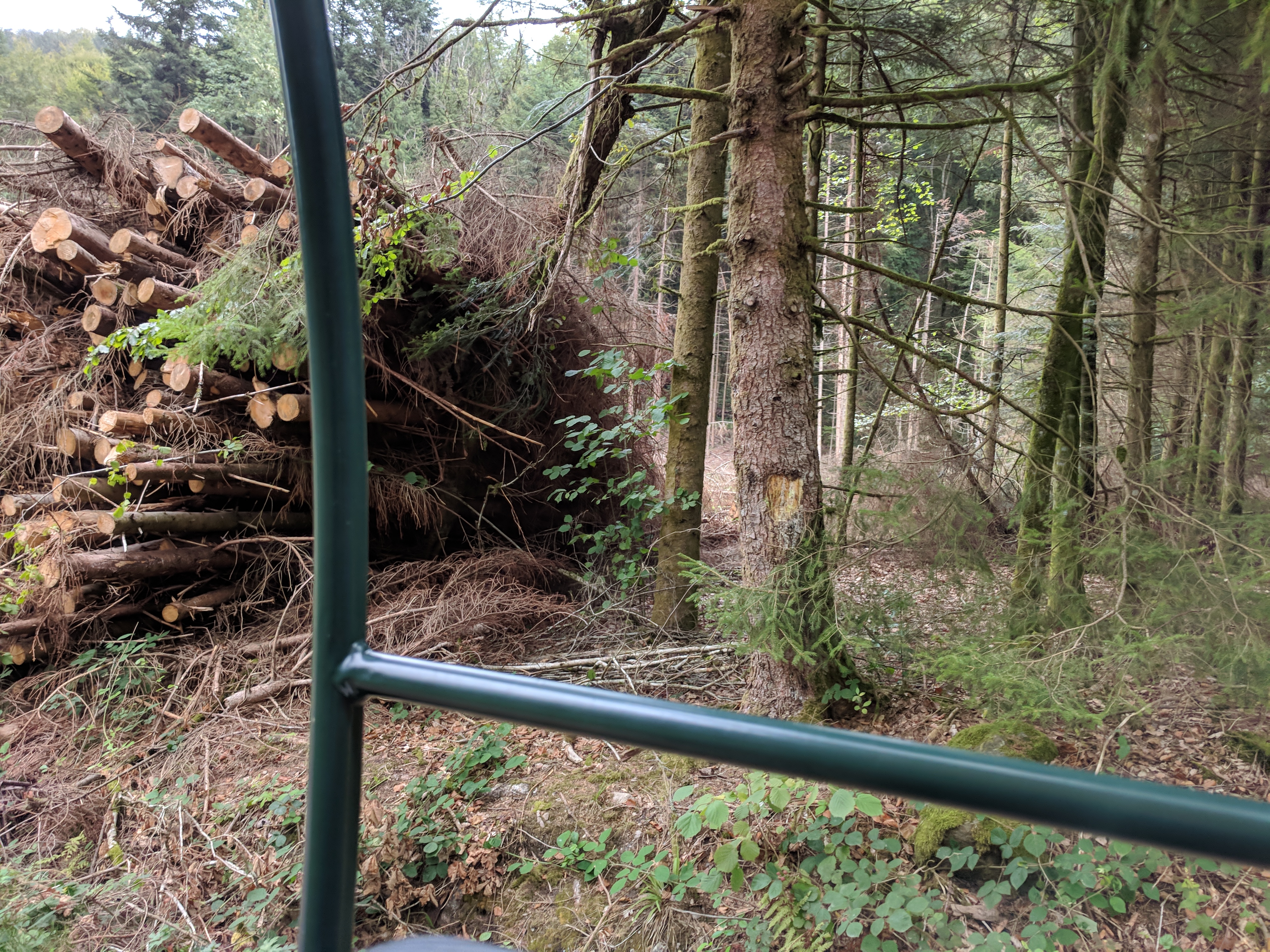 Photo n° 15 de l'avis de LAMBERT.r fait le 27/08/2018 à 11:58