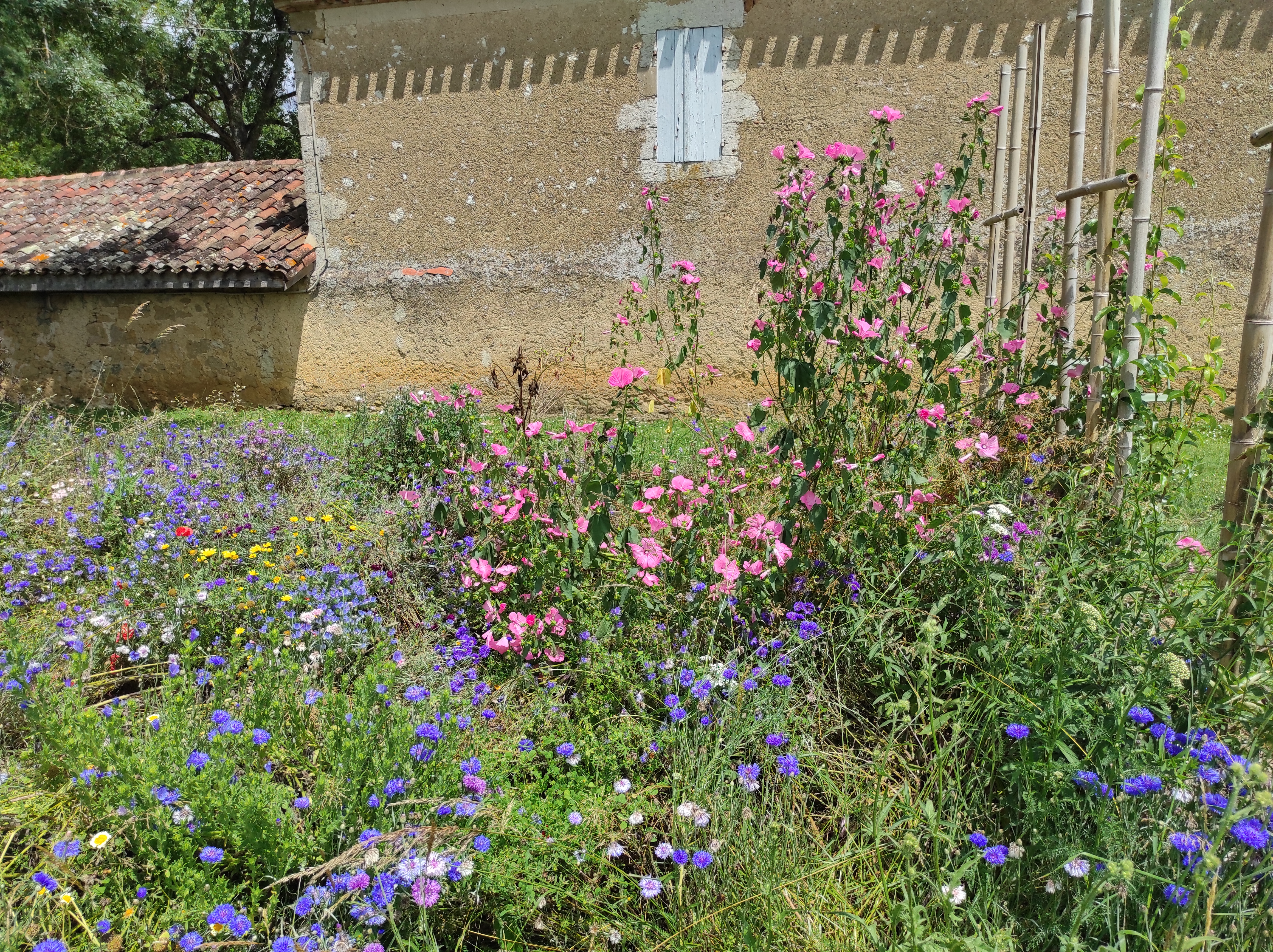 Photo n° 3 de l'avis de Michèle.A fait le 20/06/2023 à 06:32