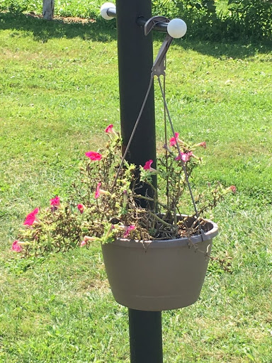 Vineyard «Miranda Vineyard», reviews and photos, 42 Ives Rd, Goshen, CT 06756, USA