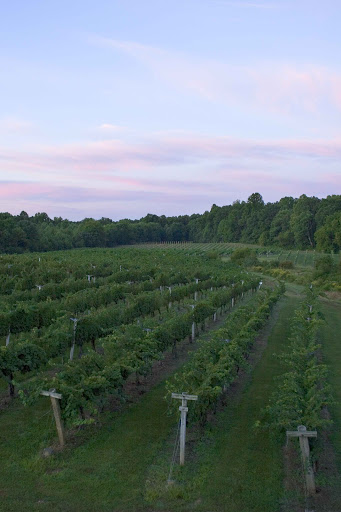 Winery «Gray Ghost Vineyards», reviews and photos, 14706 Lee Hwy, Amissville, VA 20106, USA