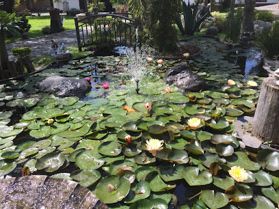 Jardinería Acuatica