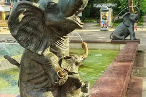 Fountain with elephants image