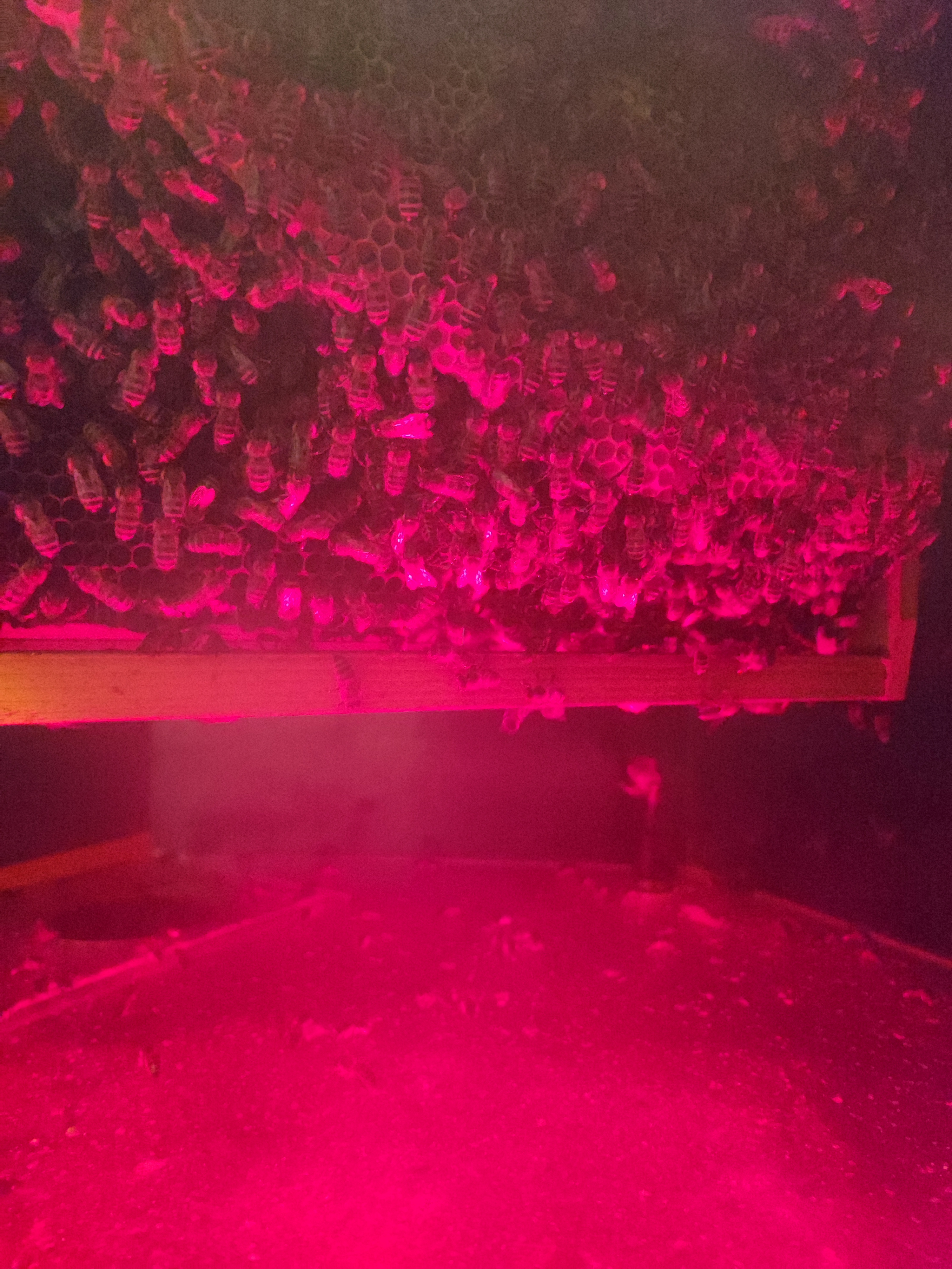 Photo n° 7 de l'avis de Jessica. fait le 25/08/2022 à 13:56