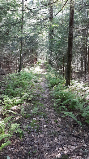 Museum «Dorflinger Glass Museum», reviews and photos, 37 Suydam Dr, White Mills, PA 18473, USA