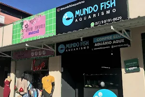 Mundo Fish Aquarismo image