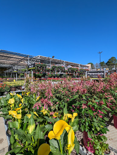 Home Improvement Store «The Home Depot», reviews and photos, 3901 Old Jacksonville Hwy, Tyler, TX 75701, USA