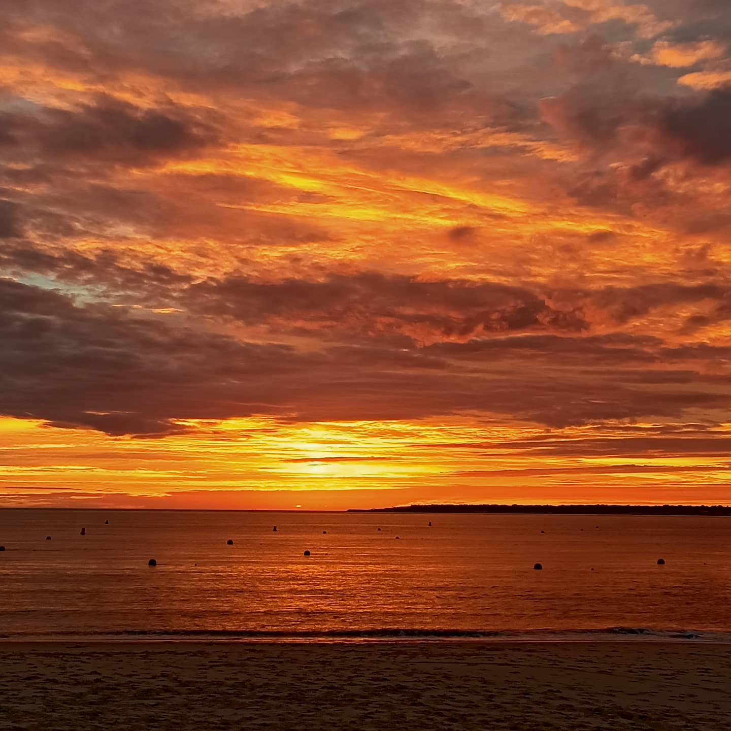 Photo n° 3 de l'avis de Julien.o fait le 15/11/2020 à 10:57
