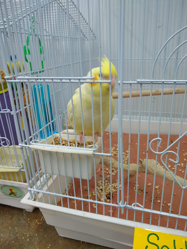Bird Shop «Paterson Bird Store», reviews and photos, 13 Furler St # 1, Totowa, NJ 07512, USA