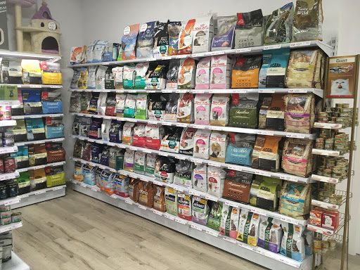 MascotAstur - Oviedo