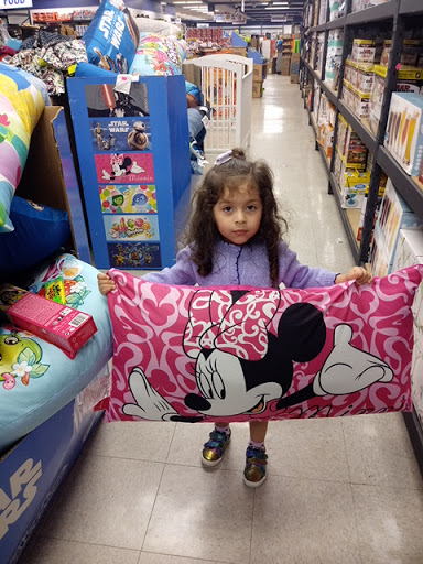 Discount Store «Bargains In A Box», reviews and photos, 1810 5th Ave, River Grove, IL 60171, USA