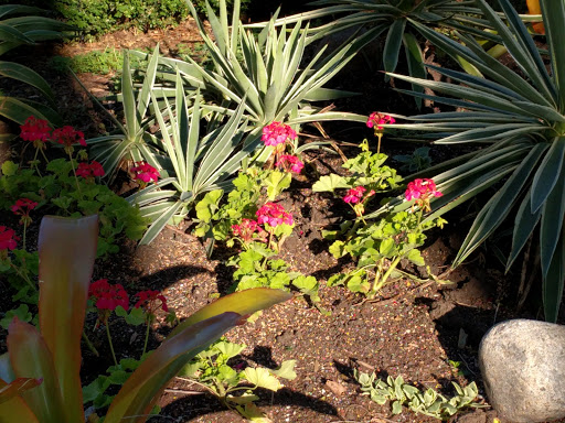 Dog Park «Portage Dog Friendly Area», reviews and photos, 4100 N Long Ave, Chicago, IL 60641, USA