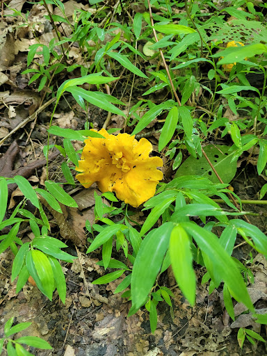 State Park «Rosaryville State Park», reviews and photos, 7805 W Marlton Ave, Clinton, MD 20735, USA