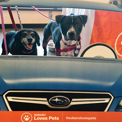 Subaru Dealer «Steve Moyer Subaru», reviews and photos, 201 S Centre Ave, Leesport, PA 19533, USA