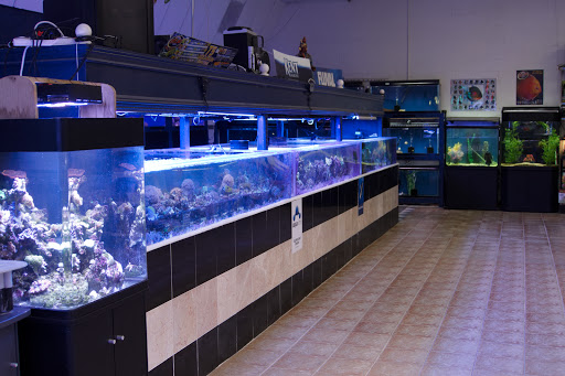 Pet Store «Aqua Workz Aquarium», reviews and photos, 8125 Belvedere Ave, Sacramento, CA 95826, USA