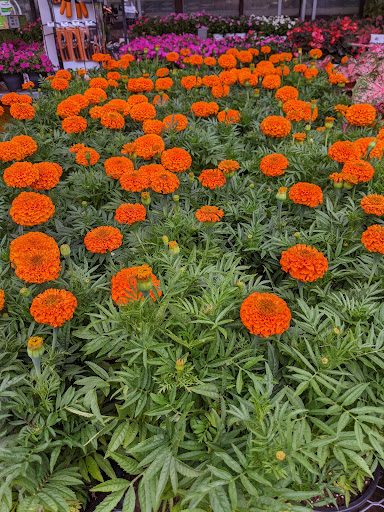 Home Improvement Store «The Home Depot», reviews and photos, 1200 Nixon Dr, Mt Laurel, NJ 08054, USA