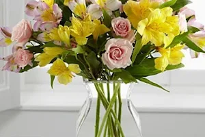 Thomasville Flower Shop Florist & Flower Delivery image